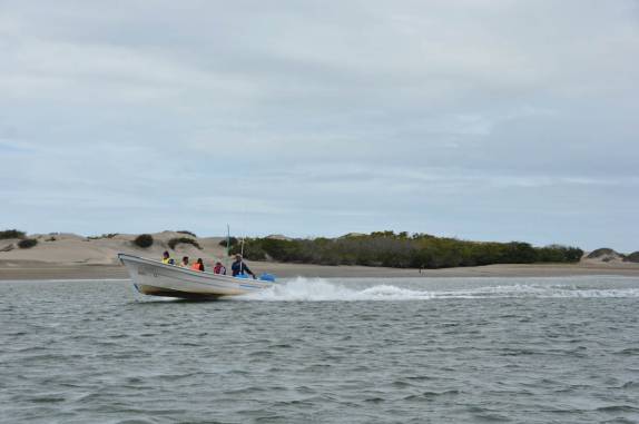 Barco leva turistas para ver baleias em Puerto López Mateos, na Baja California - México